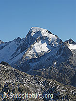 F030779: Galenstock und Sidelenhorn