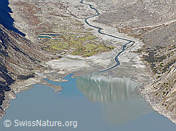 F030784: Gletschervorfeld am Ende des Grimselsees (Stausee)