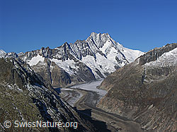 Foto: Sidelhorn: Unteraargletscher, Lauteraargletscher, Lauteraarhorn