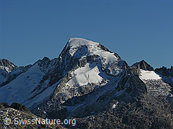 F030791: Galenstock, Sidelenhon