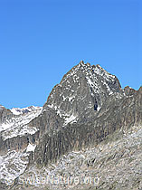 F030818: Bächlistock