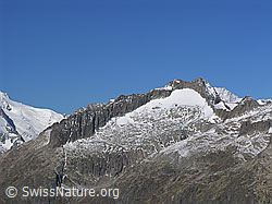 F030819: Hienderstock