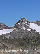 Foto: Sidelhorn: Steinlauihorn und Ärlengletscher