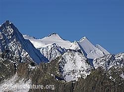 F030827: Agassizhorn, Fiecherhörner, Escherhorn, Tierberg, Zinggenstock