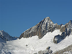 Photo: Sidelhorn: Oberaargletscher, Oberaarjoch und Oberaarhorn