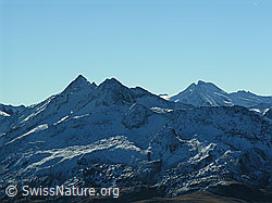 F030845: Pizzo Gallina und Pizzo Basodino