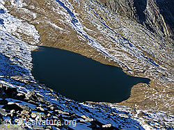 F030853: Triebtenseewli