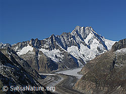 Foto: Unteraargletscher, Hugihorn, Lauteraarhorn, Schreckhorn