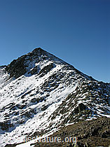 F030876: Gipfel des Sidelhorn
