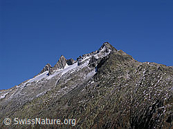 Foto: Grimselpass: Gärstenhörnernmit Gärstengletscher