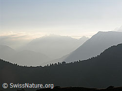 F030923: Neblige Morgenstimmung über der Riederfurka