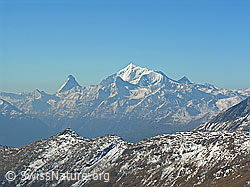 F030942: Matterhorn und Dent Blanche