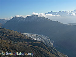 F030957: Eggishorn, Bettmerhorn und Aletschgletscher