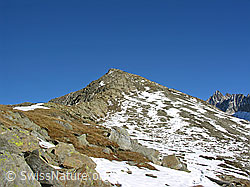 F030960: Sparrhorn