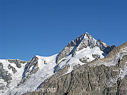 Foto: Kleines Aletschhorn und Aletschhorn