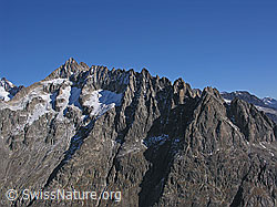 F030972: Gross Fusshorn und Fusshörner
