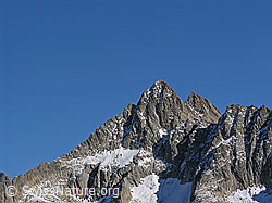 F030978: Gross Fusshorn und Rotstock