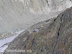 F030997: Oberaletschhütte