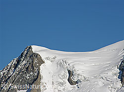 F030999: Kleines Aletschhorn