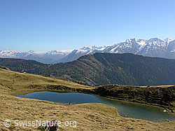 F031085: Lüsgersee in herbstlicher Berglandschaft