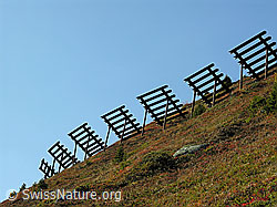 F031090: Lawinenverbauung