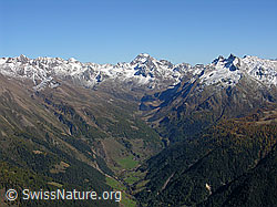 F031155: Binntal (Kerbtal)