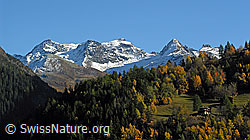 F031483: Scherbadung und Schärtegga