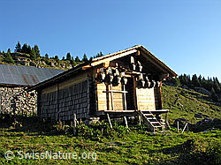 F031834: Käsepeicher