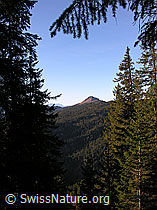 F032168: Gemmenalphorn