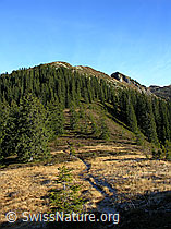 F032170: Herbstliche Landschaft am Trogenhorn