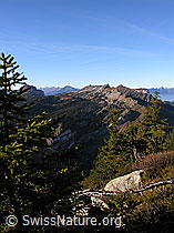 F032180: Trogenhorn: Sieben Hengste
