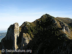 F032192: Felstürme und Gipfel des Trogenhorns