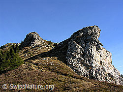 F032201: Felstürme und Bergweg am Trogenhorn