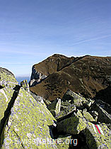 F032252: Bergweg über den Blockgrat am Trogenhorn