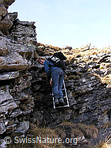 F032258: Bergsteigerin auf Leiter über kleine Felsstufe