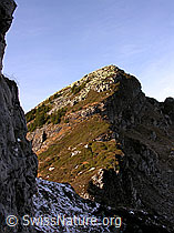 F032269: Gipfel des Trogenhorns