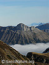 F032280: Schibengütsch und Nebelmeer