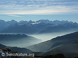 F032283: Hohgant West: Nebelschichten und Berner Alpen