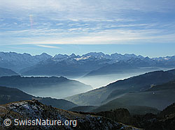 F032284: Hohgant West: Feine Nebelschichten und Berner Alpen