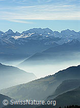 F032295: Dünne Nebelschichten und Berner Alpen