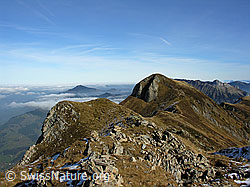 F032297: Hohgant West: Wysschrüzgrat und Nebelmeer über Mittelland