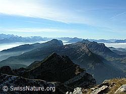 F032313: Trogenhorn, Seefeld, Gemmenalphorn, Sigriswiler Rothorn