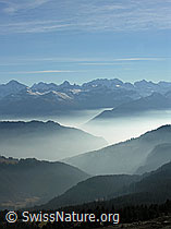 F032323: Nebelschichten in den Tälern und Berner Alpen
