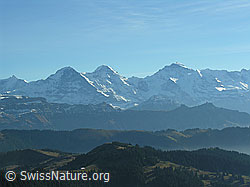 F032327: Hohgant West: Eiger, Mönch und Jungfrau