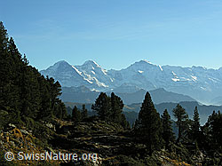F032342: Herbstliche Berglandschaft am Hohgant und Eiger, Mönch, Jungfrau