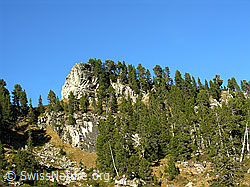 F032349: Felsstufen und Bergwald