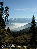 F032350: Herbstliche Berglandschaft mit Nebelschicht