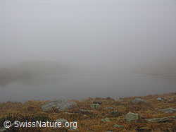 F032745: Dichter Nebel über dem Halsesee