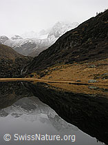 F032764: Spiegelglatter Halsesee im Herbst mit verschneitem Ofenhorn