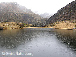 F032774: Trübes Wetter und Regen am Halsesee